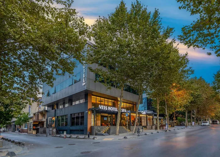 Vess Hotel Istanbul